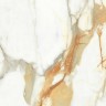 Керамогранит Absolut Gres BorginiGold AB 1059G 60x60