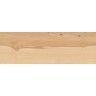 Керамогранит Atlas Concorde Log Cansei Rialto 20x120