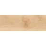 Керамогранит Atlas Concorde Log Cansei Rialto 20x120