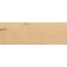 Керамогранит Atlas Concorde Log Cansei Rialto 20x120