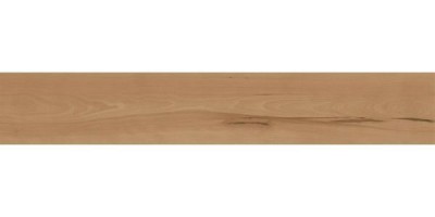 Керамогранит Atlas Concorde Log Cansei Fenice 20x120