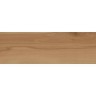 Керамогранит Atlas Concorde Log Cansei Fenice 20x120