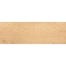 Керамогранит Atlas Concorde Log Cansei Murano 20x120