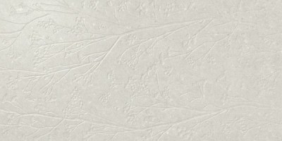 Плитка APE Greystone Divine White Rect. 60x120