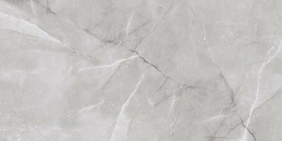 Керамогранит Absolut Gres Armani Silver AB 1142G 60x120