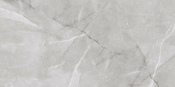 Керамогранит Absolut Gres Armani Silver AB 1142G 60x120