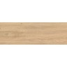 Log (Atlas Concorde)