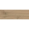Log (Atlas Concorde)