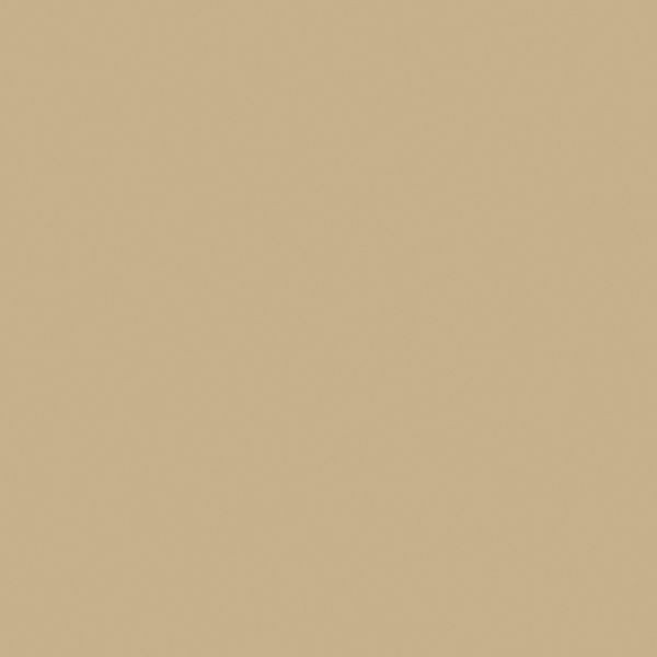 Керамогранит Estima Rainbow RW15 60x60 матовый
