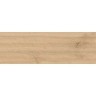 Керамогранит Atlas Concorde Log Bright Oak 20x120