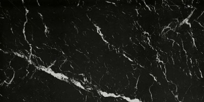Керамогранит FAP Roma Gold Nero Elegante Brillante 60x120