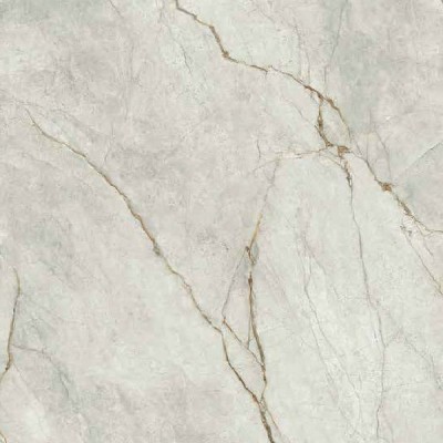 Керамогранит Imola Ceramica The Room Gre Ro6 120 RM 120x120