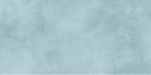 Плитка Alma Ceramica Ричард серо-синий 24,9x50 TWU09RCD606