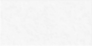 Плитка Alma Ceramica Discover белый 24,9x50 TWU2550DCV00