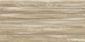 Плитка Alma Ceramica Euphoria коричневый 24,9x50 TWU2550EPH44