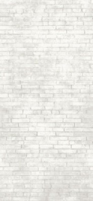 Керамогранит Imola Ceramica Bricklane 260 120x260
