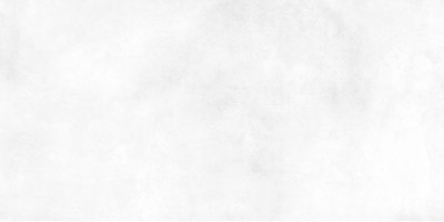 Плитка Alma Ceramica Ричард белый 24,9x50 TWU09RCD000