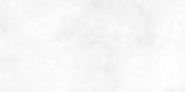 Плитка Alma Ceramica Ричард белый 24,9x50 TWU09RCD000