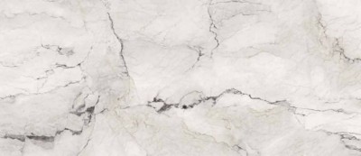 Керамогранит La Faenza Aesthetica Ae Cam6 278 LPm 120x278