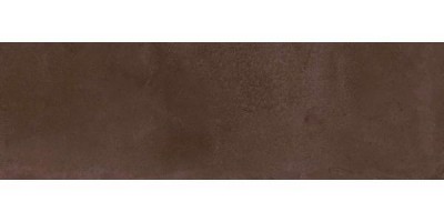 Плитка Керама Марацци Тракай бордо глянцевый 8,5x28,5 9043