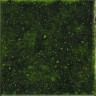 Плитка APE Genuine Emerald 10x10
