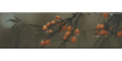 Декор Керама Марацци Тракай 6 глянцевый 8,5x28,5 OS\A118\9016