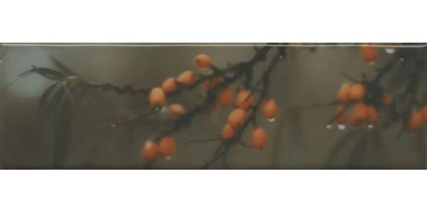 Декор Керама Марацци Тракай 6 глянцевый 8,5x28,5 OS\A118\9016