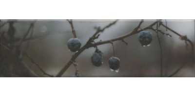 Декор Керама Марацци Тракай 8 глянцевый 8,5x28,5 OS\A120\9016