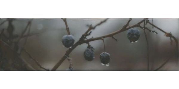 Декор Керама Марацци Тракай 8 глянцевый 8,5x28,5 OS\A120\9016